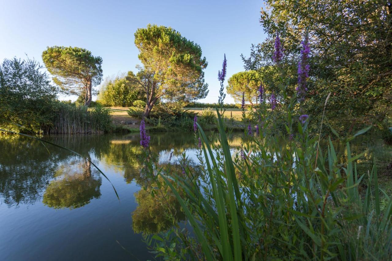Bed and Breakfast La Marviniere Saint-Bonnet-sur-Gironde Exterior foto