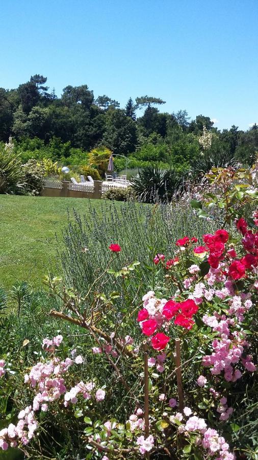 Bed and Breakfast La Marviniere Saint-Bonnet-sur-Gironde Exterior foto