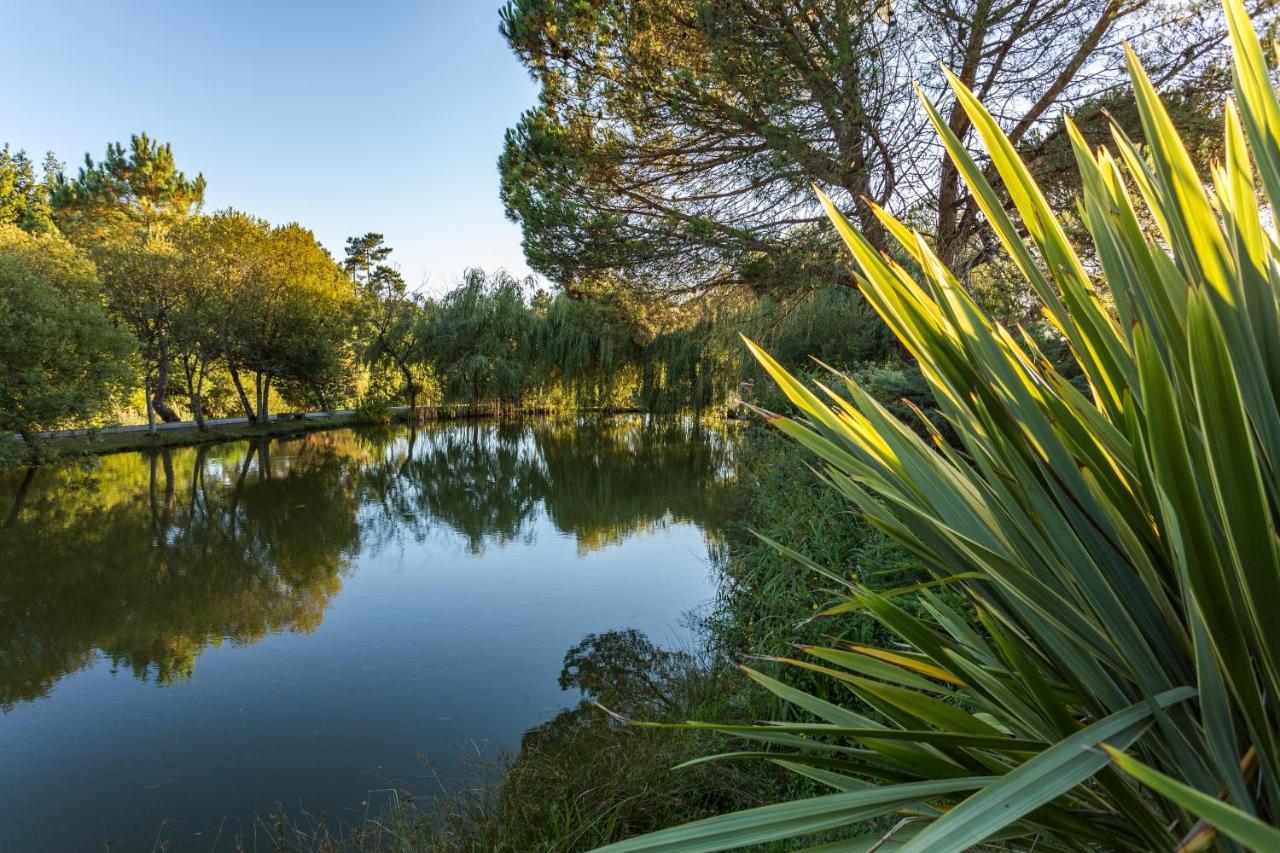 Bed and Breakfast La Marviniere Saint-Bonnet-sur-Gironde Exterior foto